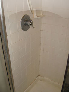 Shower Restoration Before